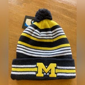 Toddler Michigan winter hat